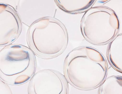Peptide Complex