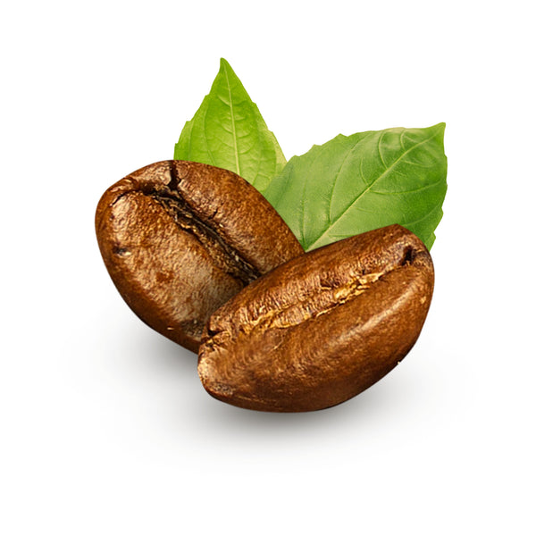 Green Coffee and Jojoba